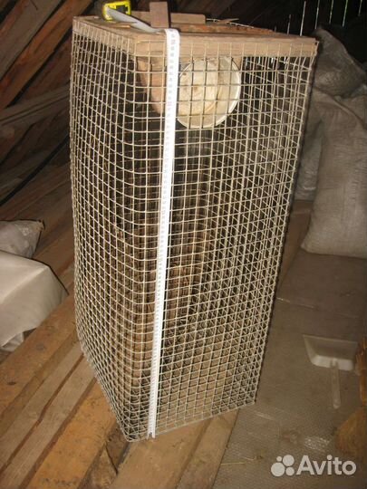 Клетки для кроликов бу