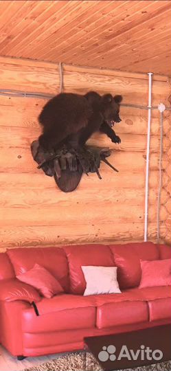 Чучела животных имитация