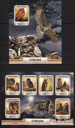 Хищные птицы Совы