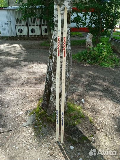 Лыжи пластиковые