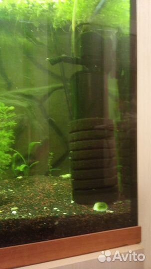 Аквариум с рыбками и тумбой