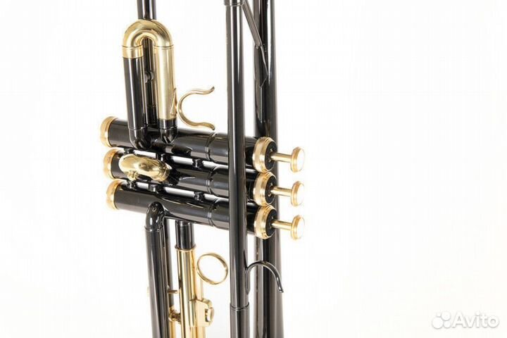 Труба Roy Benson TR-101K