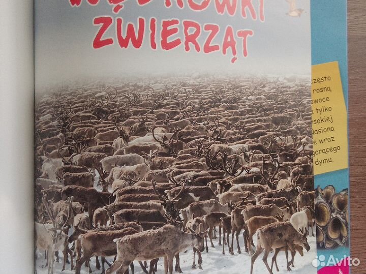 Книга на польском языке Wdrwki zwierzt