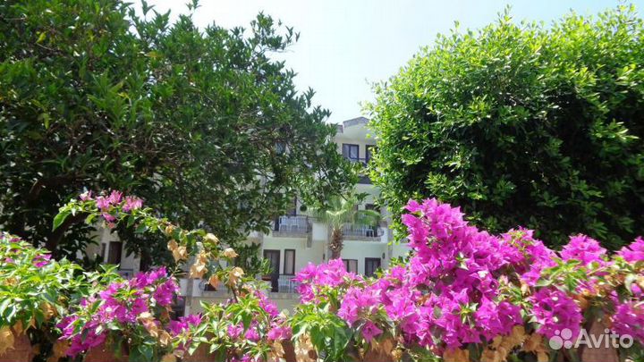 Горящий тур в Турцию