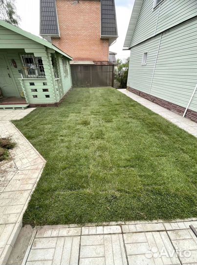 Рулонный газон для загородного участка