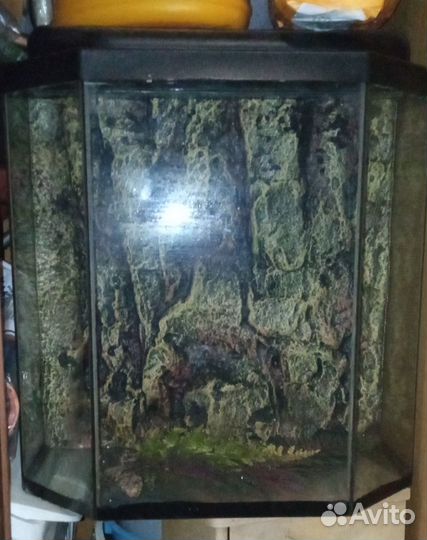 Аквариум бу 50л