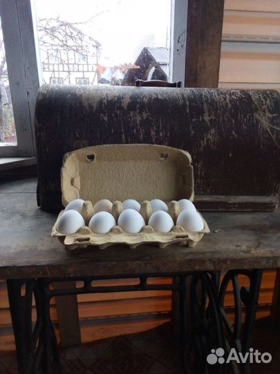 Яйцо куриное