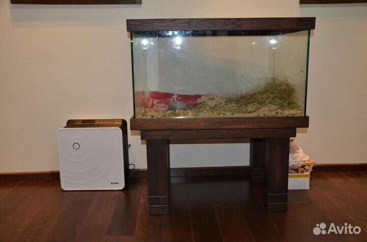 Аквариум - дендрариум