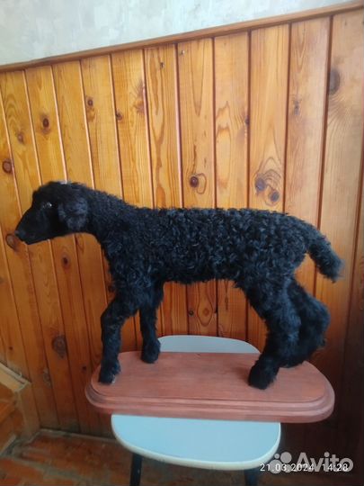 Чучела животных