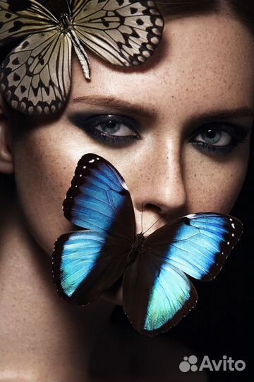 Аренда живых бабочек для фотосессий
