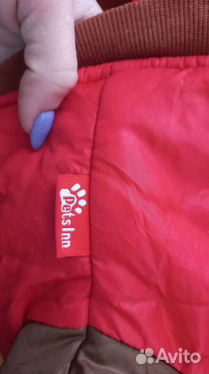 Комбинезон для маленькой собаки