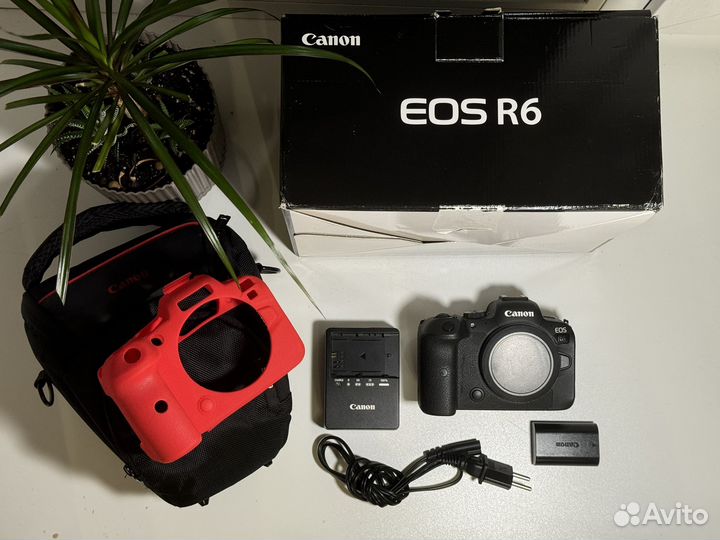 Canon eos r6 body