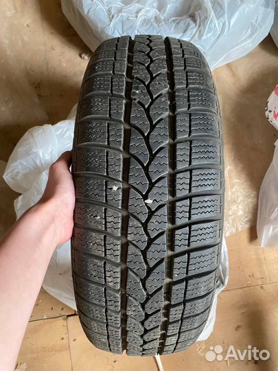 Tigar Winter 185/60 R14 T