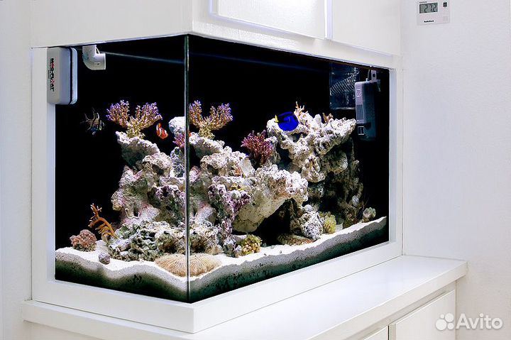 Дизайн и Оформления Аквариумов Обслуживание