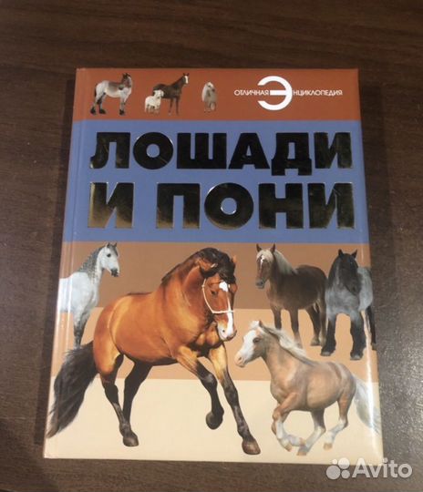 Книга про лошадей