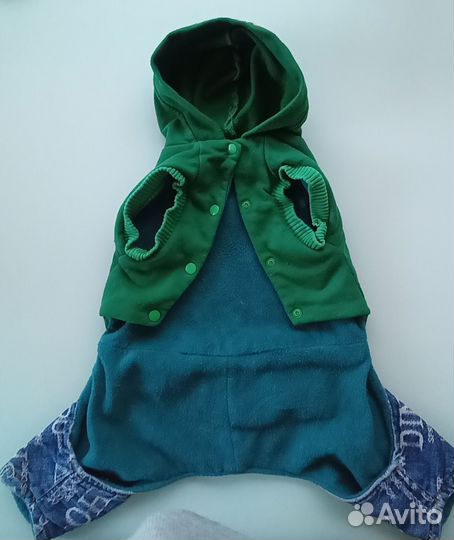 Одежда для средних собак