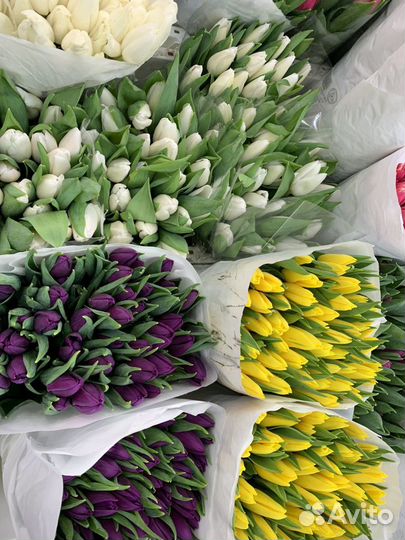 Цветы Тюльпаны и букеты с доставкой 24 часа