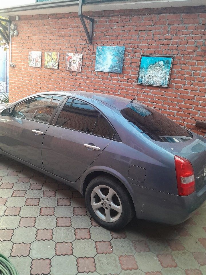 Nissan Primera: фото владельца