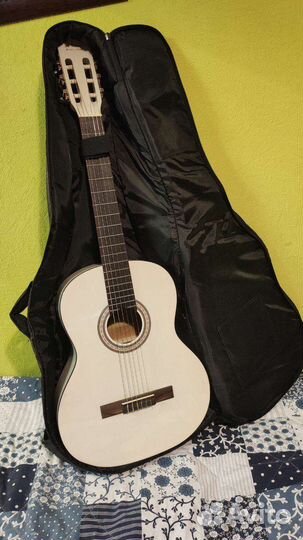 Гитара с зимним чехлом