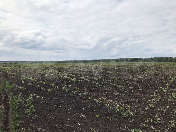 Участок 2,77 га (СНТ, ДНП)