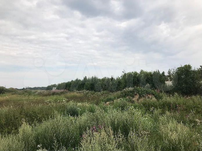 Участок 45,61 га (ИЖС)