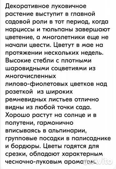 Декоративный лук Афлуканский