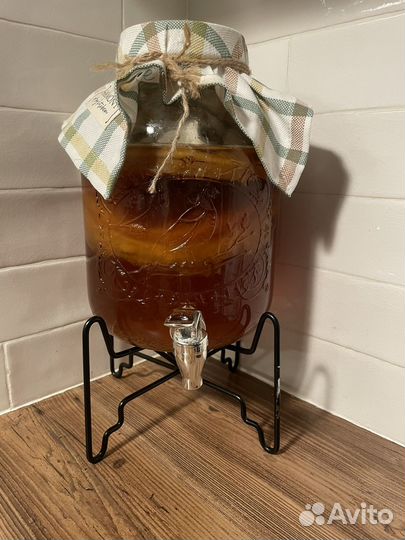 Чайный гриб