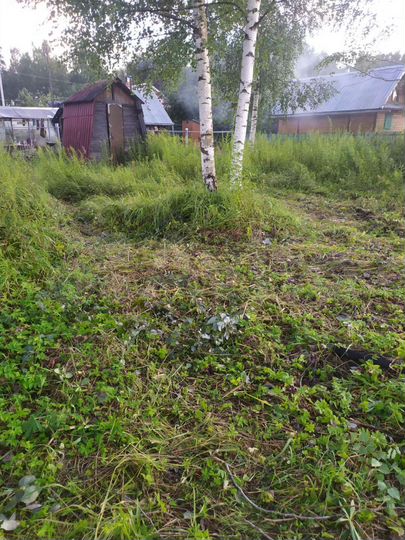 Участок 6 сот. (СНТ, ДНП)