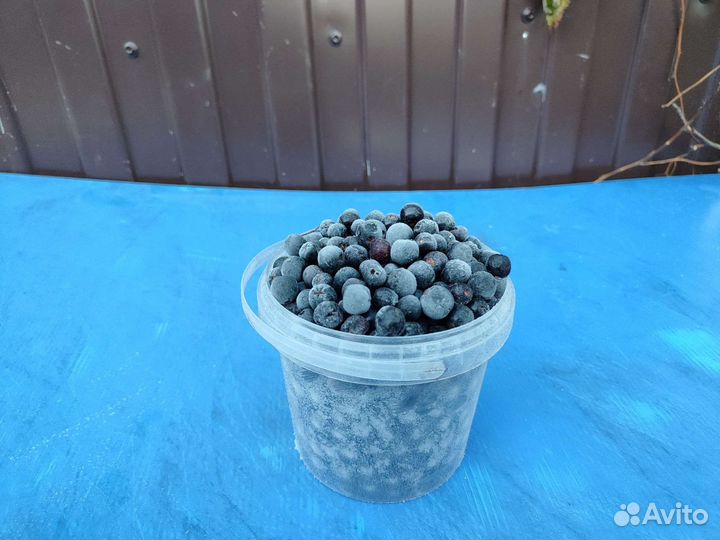 Ягоды оптом и в розницу