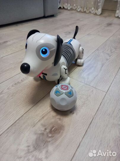 Собака робот новая