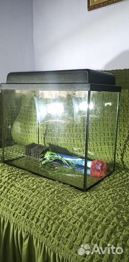 Аквариум