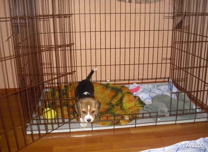 Клетка с поддоном для собак кошек