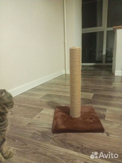 Когтеточка для кошек