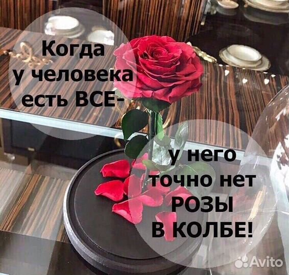 Роза в колбе premium