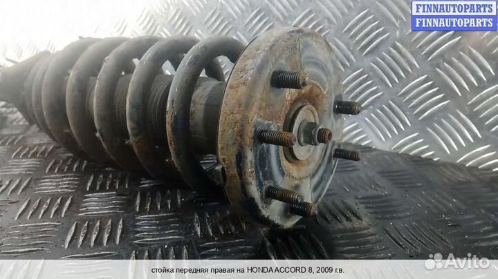 Амортизатор перед/право Honda Accord viii (CU), 2009 2.2 Дизель