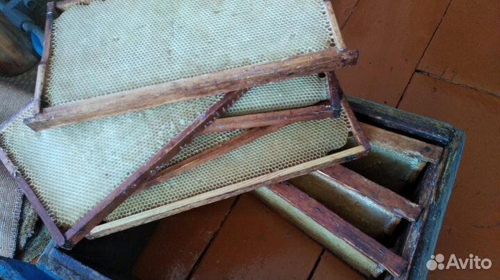 Улья рутта рамки