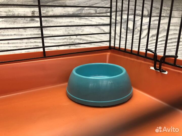 Новая клетка для хомяка джунгарика, джунгарского