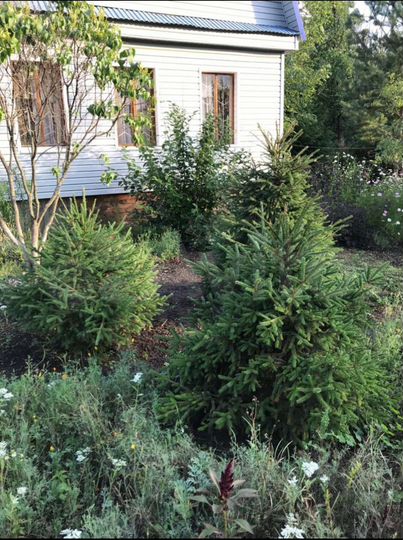 Дом 55 м² на участке 10 сот.