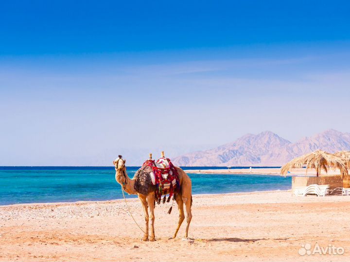 Турпутевка в Hurghada на 6 ночей за двоих
