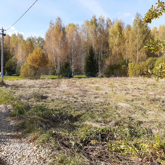 Участок 16 сот. (СНТ, ДНП)