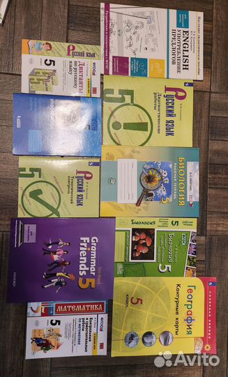 Рабочие тетради 5 класс