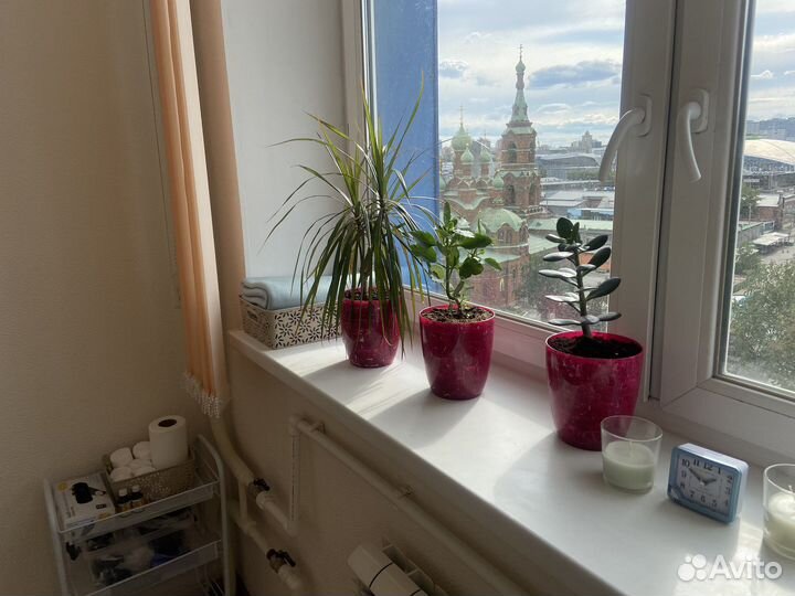 Массаж лица,стоп, антицеллюлитный, классический