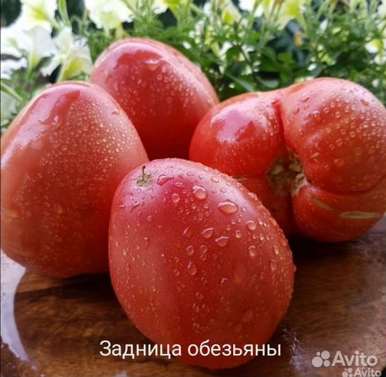 Семена томатов