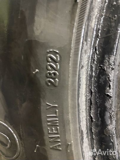 Dynamo Snow-H MWCS01 195/65 R15