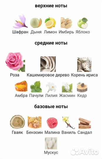 Vertus Rose Prive
