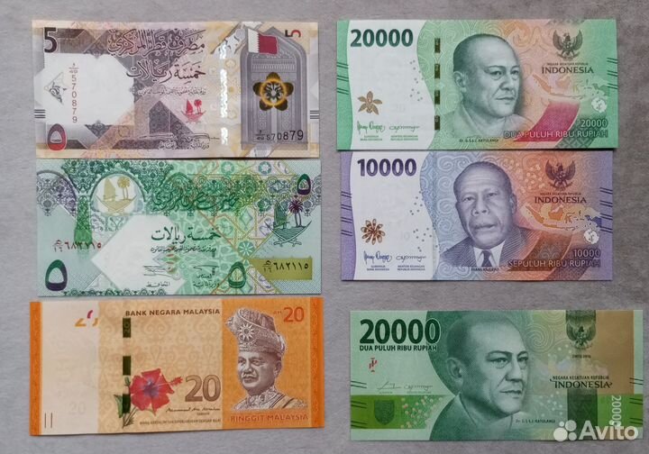 Фауна на бонах Азии