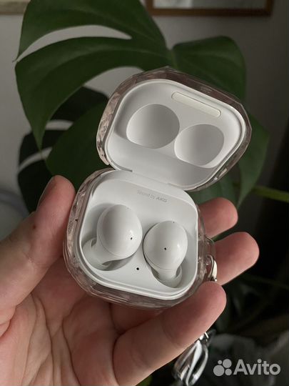 Samsung galaxy buds 2