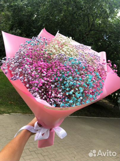 Гипсофила радужная