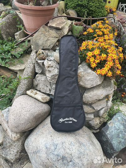 Укулеле концерт