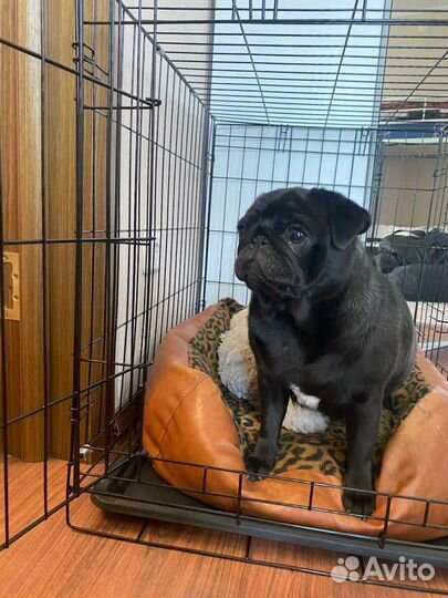 Вольер (клетка для животных)